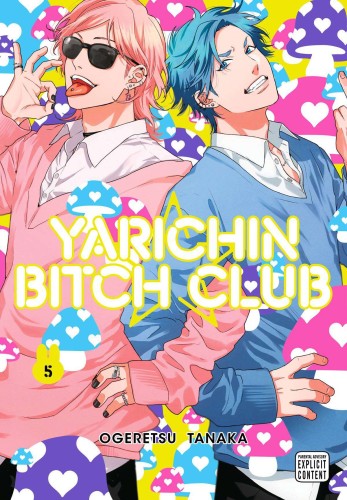 YARICHIN BITCH CLUB GN VOL 05 (9781974738991)