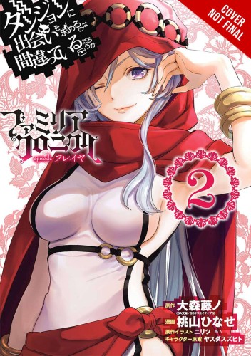 IS WRONG PICK UP GIRLS DUNGEON FAMILIA FREYA GN VOL 02 (9781975371692)