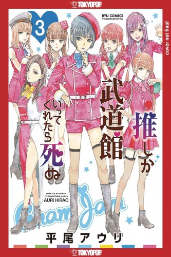 FAVORITE POP IDOL MADE IT BUDOKAN GN VOL 03 (9781427874207)