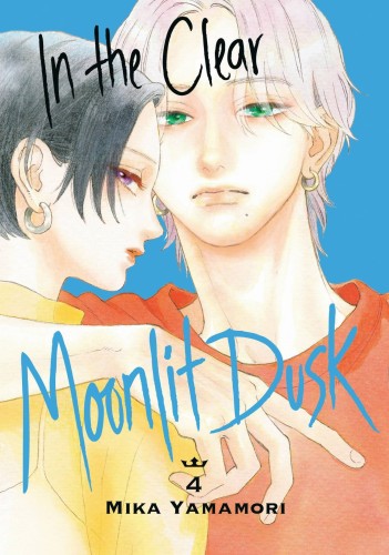 IN CLEAR MOONLIT DUSK GN VOL 04 (9781646517053)