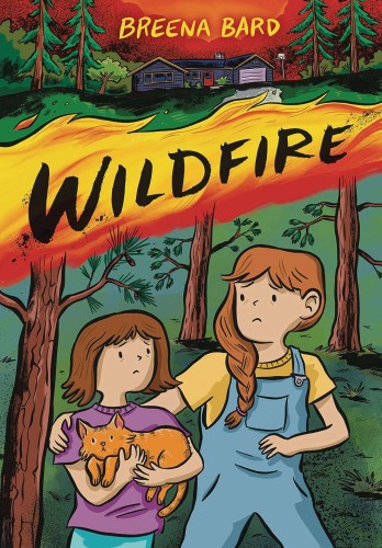 WILDFIRE GN (9780316277655)