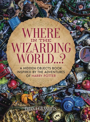 WHERE IN WIZARDING WORLD HIDDEN OBJECTS PICTURE BOOK HC (9781956403374)