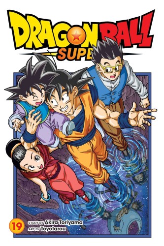 DRAGON BALL SUPER GN VOL 19 (9781974739103)