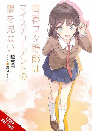 RASCAL DOES NOT DREAM LIGHT NOVEL SC VOL 12 (9781975375270)