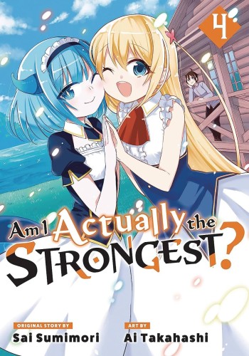 AM I ACTUALLY THE STRONGEST L NOVEL 04 (9781647292027)