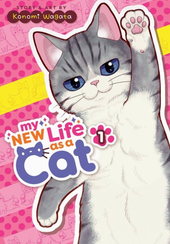 MY NEW LIFE AS A CAT GN VOL 01 (9781685797218)
