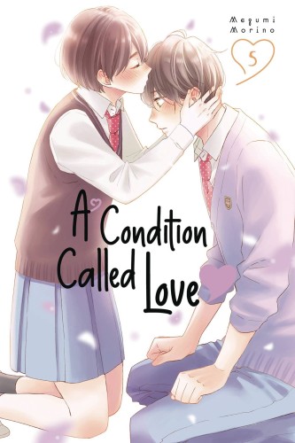 A CONDITION OF LOVE GN VOL 05 (9781646517602)