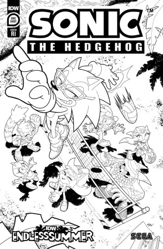 IDW ENDLESS SUMMER SONIC THE HEDGEHOG CVR C 10 COLORING BOOK