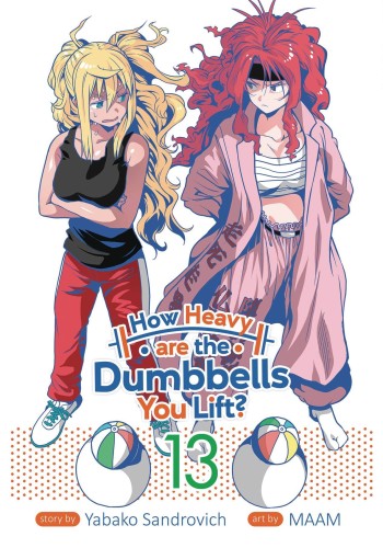 HOW HEAVY ARE DUMBBELLS YOU LIFT GN VOL 13 (9781685796228)