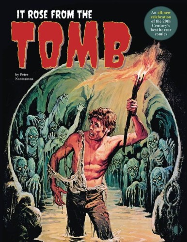 IT ROSE FROM THE TOMB 20TH CENTURYS BEST HORROR COMICS SC (9781605491233)