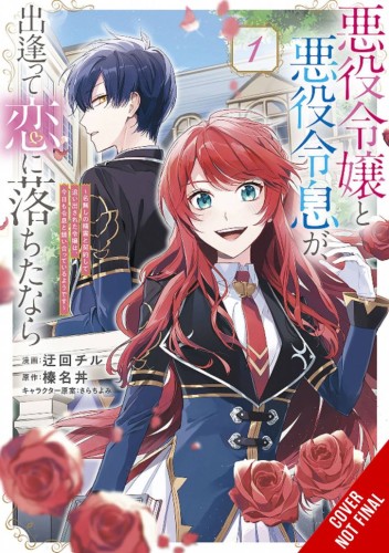 IF VILLAINESS & VILLAIN MET & FELL IN LOVE GN VOL 01 (9781975379940)
