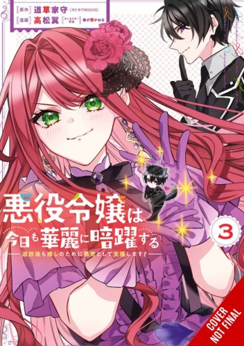 VILLAINESS STANS HEROES ANTANGONIST SUPPORT GN VOL 03 (9781975375515)