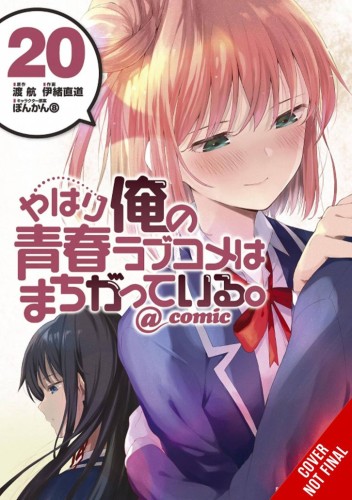 YOUTH ROMANTIC COMEDY WRONG EXPECTED GN VOL 20 (9781975391119)
