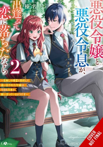 IF VILLAINESS & VILLAIN MET & FELL IN LOVE NOVEL SC VOL 02 (9781975379070)