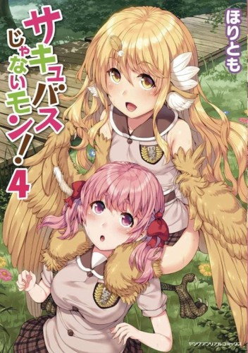 I AM NOT A SUCCUBUS GN VOL 04 (9781638588573)