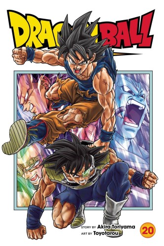 DRAGON BALL SUPER GN VOL 20 (9781974743605)