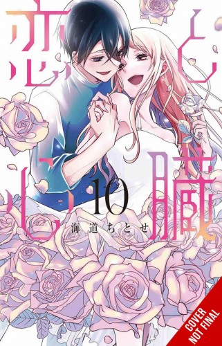 LOVE & HEART GN VOL 10 (9781975362355)
