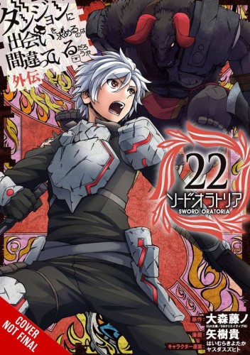 IS WRONG PICK UP GIRLS DUNGEON SWORD ORATORIA GN VOL 22 (9781975371753)