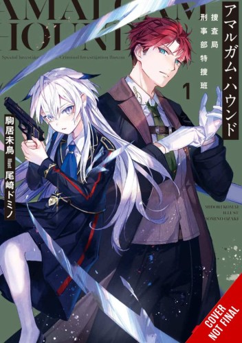 AMALGAM HOUND NOVEL SC VOL 01 (9781975374143)