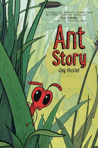 ANT STORY GN (9780063293991)