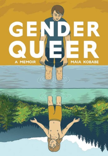 GENDER QUEER MEMOIR GN (9781549304002)