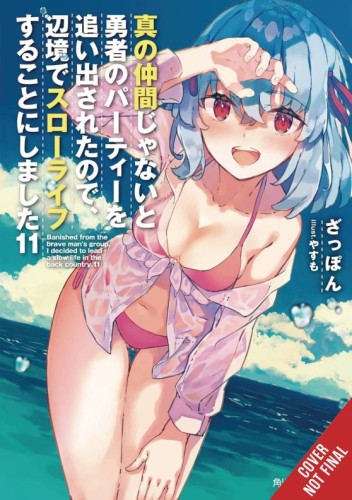 BANISHED HEROES PARTY QUIET LIFE COUNTRYSIDE NOVEL SC VOL 11 (9781975393427)