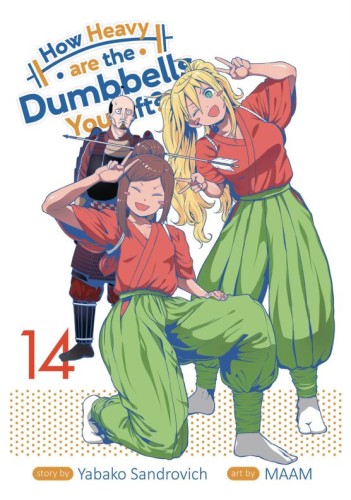 HOW HEAVY ARE DUMBBELLS YOU LIFT GN VOL 14 (9781638588313)