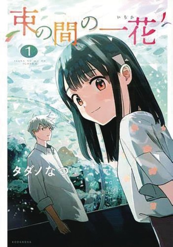 A BRIEF MOMENT OF ICHIKA GN VOL 01 (9781647291525)