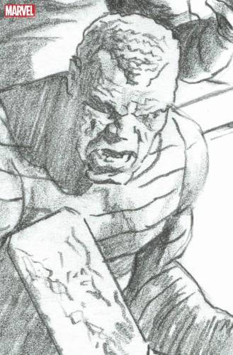 RED GOBLIN #3 100 COPY INCV ROSS TIMELESS SANDMAN VIR SKETCH