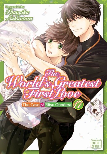 WORLDS GREATEST FIRST LOVE GN VOL 17 (9781974745692)