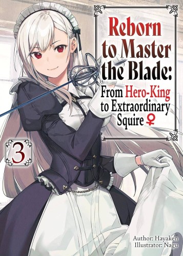 REBORN TO MASTER BLADE NOVEL SC VOL 03 (9781975377939)