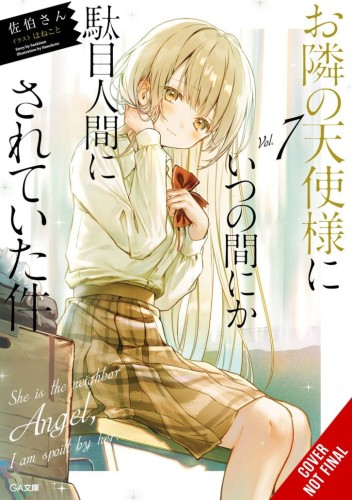 ANGEL NEXT DOOR SPOILS ME ROTTEN LIGHT NOVEL SC VOL 07 (9781975379742)