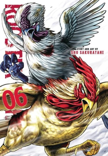 ROOSTER FIGHTER GN VOL 06 (9781974746873)