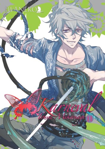 Karneval tom 11 (9788364891106)