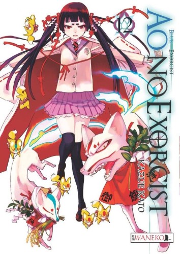 Ao No Exorcist tom 12 (9788364891267)