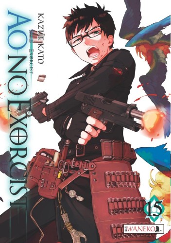 Ao No Exorcist tom 15 (9788365229397)