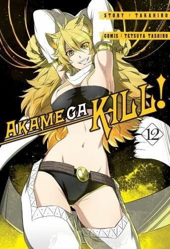 Akame ga kill! tom 12 (9788380962873)