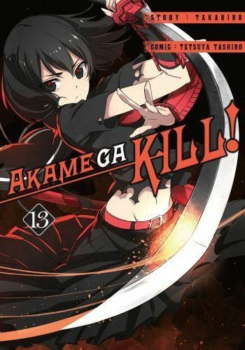 Akame ga kill! tom 13 (9788380962880)
