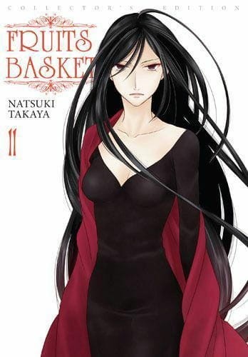 Fruits Basket tom 11 (9788380966475)