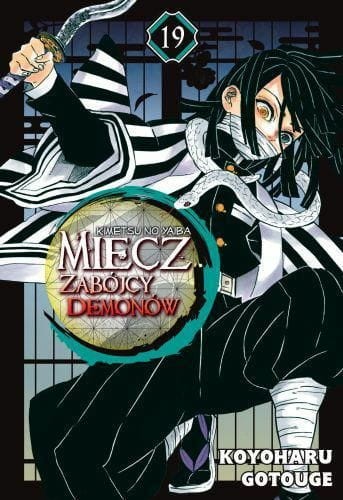 Miecz zabójcy demonów tom 19 (9788380968288)