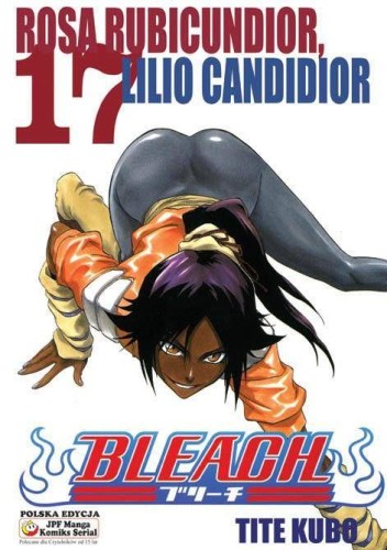 Bleach tom 17 (9788374712361)
