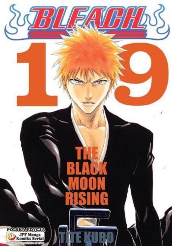 Bleach tom 19 (9788374712385)