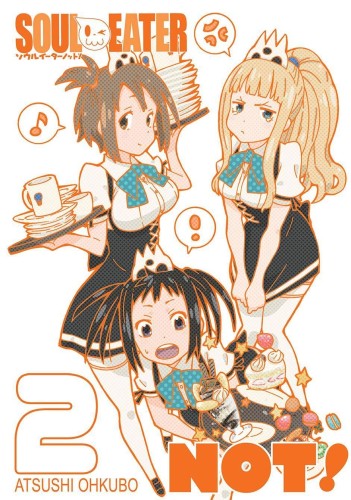 Soul Eater NOT! tom 02 (9788374718028)