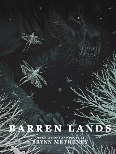 BARREN LANDS BY BRYNN METHENEY HC (9781640410770)