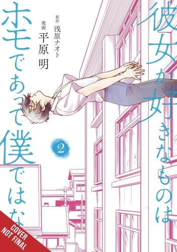 SHE LIKES GAYS BUT NOT ME GN VOL 02 (9781975380045)