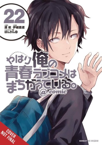 YOUTH ROMANTIC COMEDY WRONG EXPECTED GN VOL 22 (9781975391133)