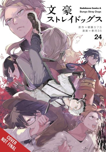 BUNGO STRAY DOGS GN VOL 24 (9798855401998)