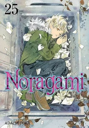Noragami #25 (9788382572506)
