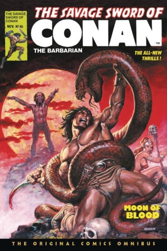 SAVAGE SWORD OF CONAN ORIG OMNIBUS REG GN VOL 04 (9781787744134)