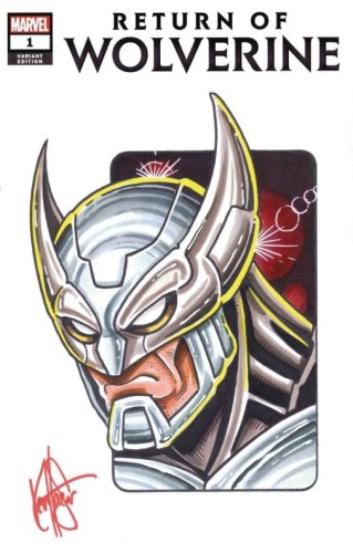 DF RETURN OF WOLVERINE #1 SGN & REMARKED HAESER WOLVERINE SK